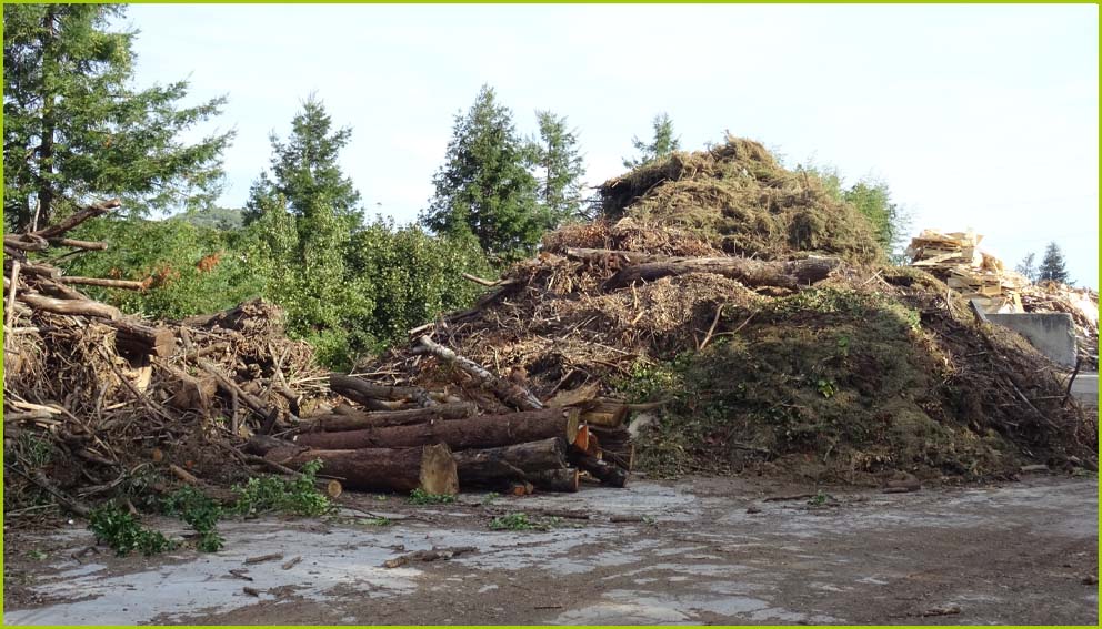 Urkiondo Ekolur - Planta de recuperación de madera y residuos inertes en Andoain, Urnieta y Legazpi - Gestión de residuos - Gipuzkoa