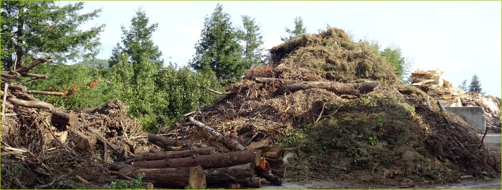 Urkiondo Ekolur - Planta de recuperación de madera y residuos inertes en Andoain, Urnieta y Legazpi - Gestión de residuos - Gipuzkoa